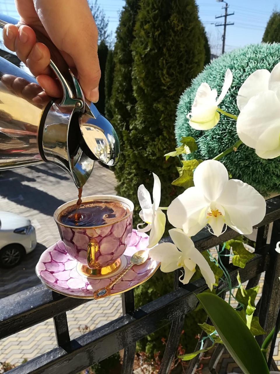 Pension Casablanca Кимпіна Екстер'єр фото